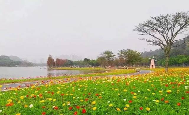 如果順峰山公園會說話|怪我過分美麗,把蛙崽崽都吸引來了