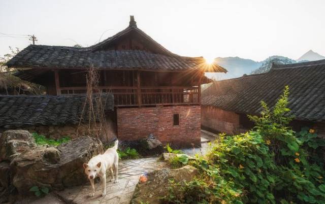 相信你總會找到 圖/一條 那時候沒有高樓電梯房 村子裡住的都是木房子