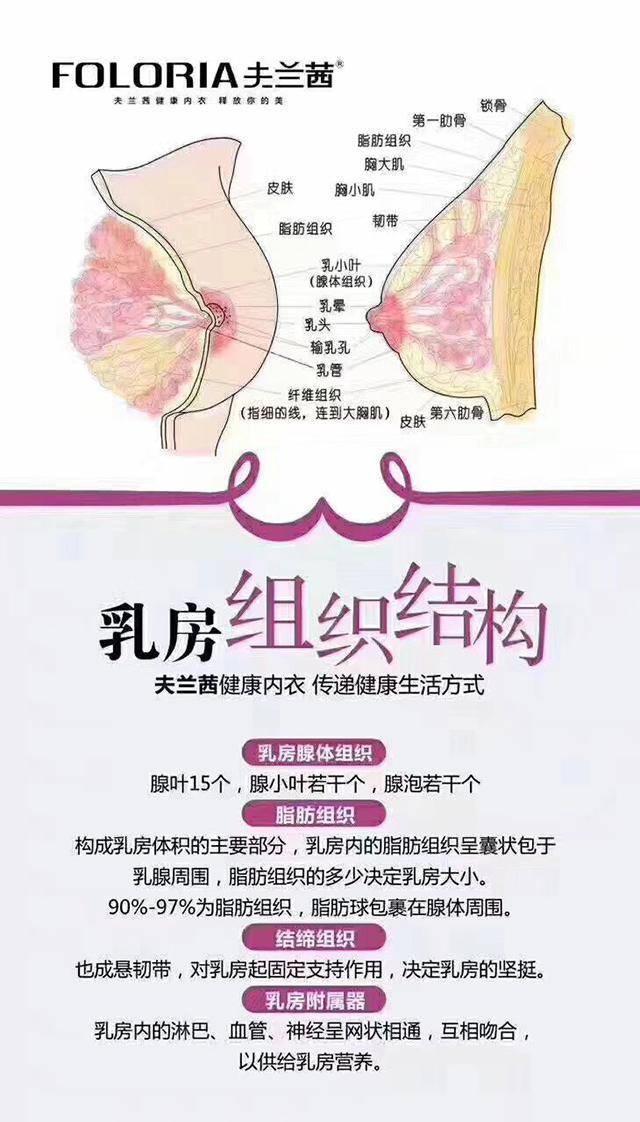 乳腺癌是怎么引起的图片