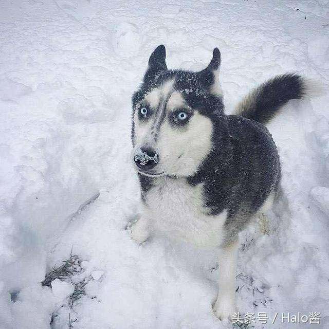 28,「什麼時候下的雪?我睡著的時候明明還沒開始下雪啊.」▼