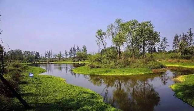 水生态保护与修复四个方面技术