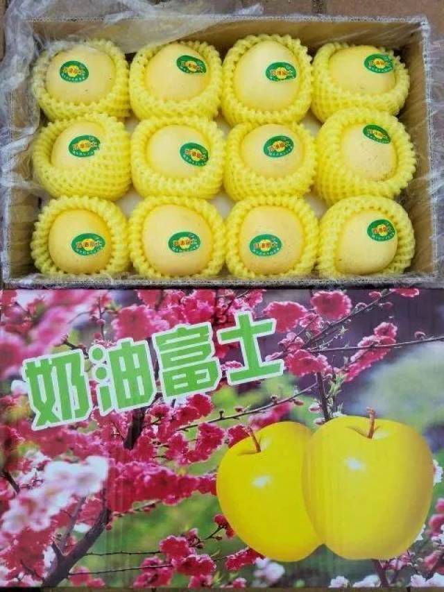 办事带上金黄色的奶油苹果,顺事了!