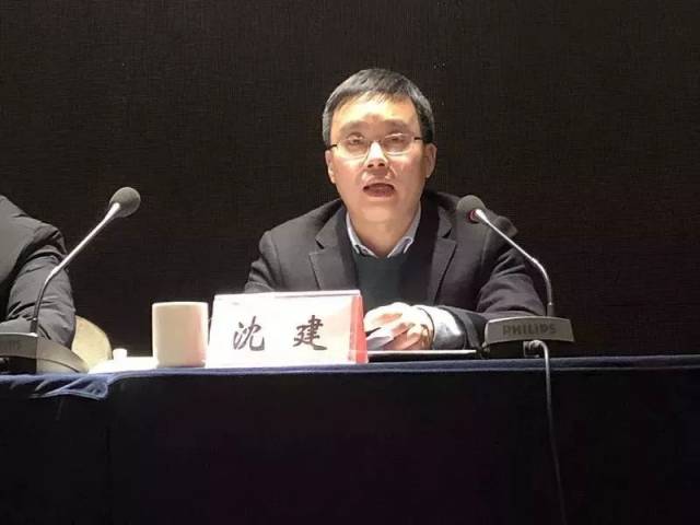 临安旅游集散中心代表发言 沈建副区长讲话,对旅游综