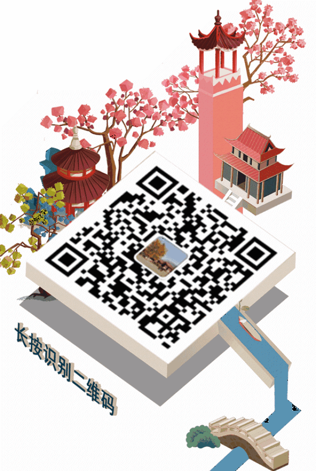 600_894竖版 竖屏gif 动态图 动图