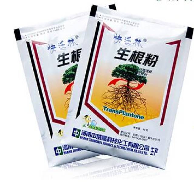 生根剂使用要领,快活林|树木移栽关键期