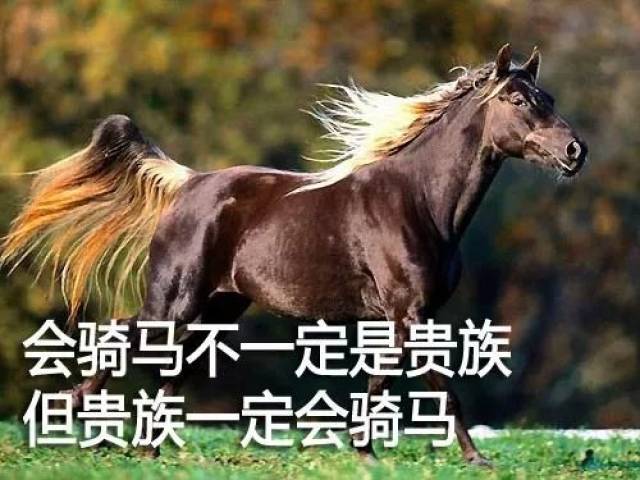 不运动小心成了一个小胖子哦 ▼ 今天来说说一项运动,骑马 很多人认为