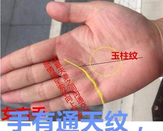 手有"口字纹",不论男女,必定钱财多多,灾难多多!