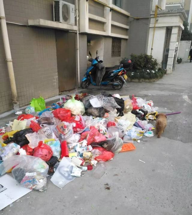 网友爆料:如皋世纪佳园物业"走了",满地垃圾,不堪入目!