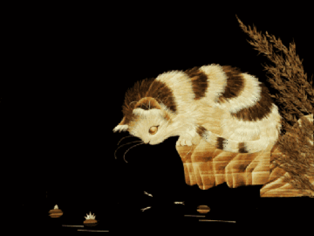 "发光的不一定都是金子"究竟何意?