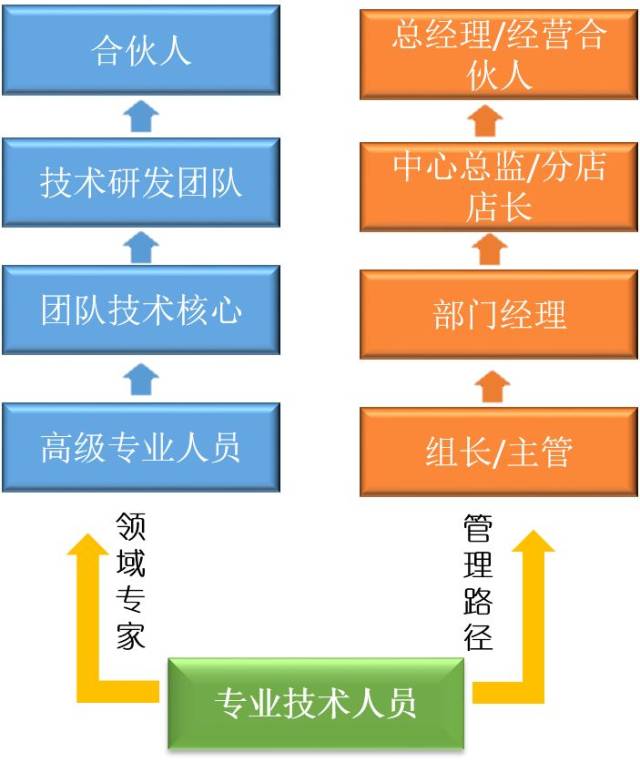 两大晋升通道