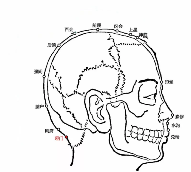 音哑重舌言语涩滞舌缓不语咽喉肿痛可以试试按摩哑门穴试试