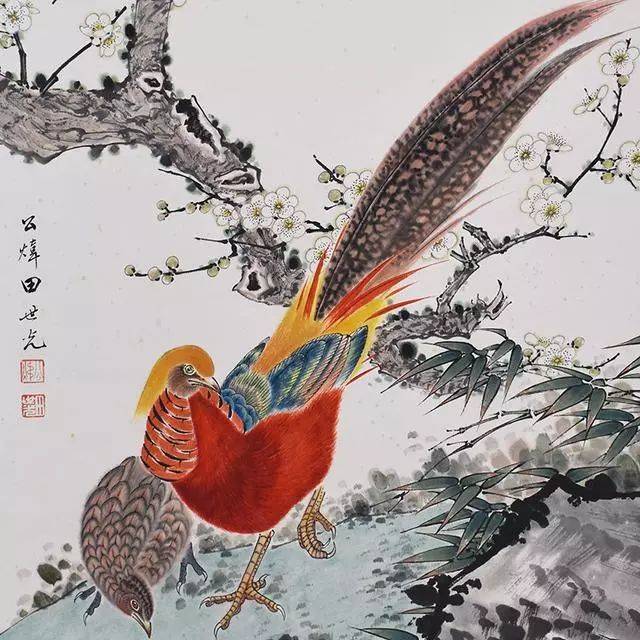 中国羽毛画 田世光“鲜艳中含幽雅”的独特风格_搜狐网