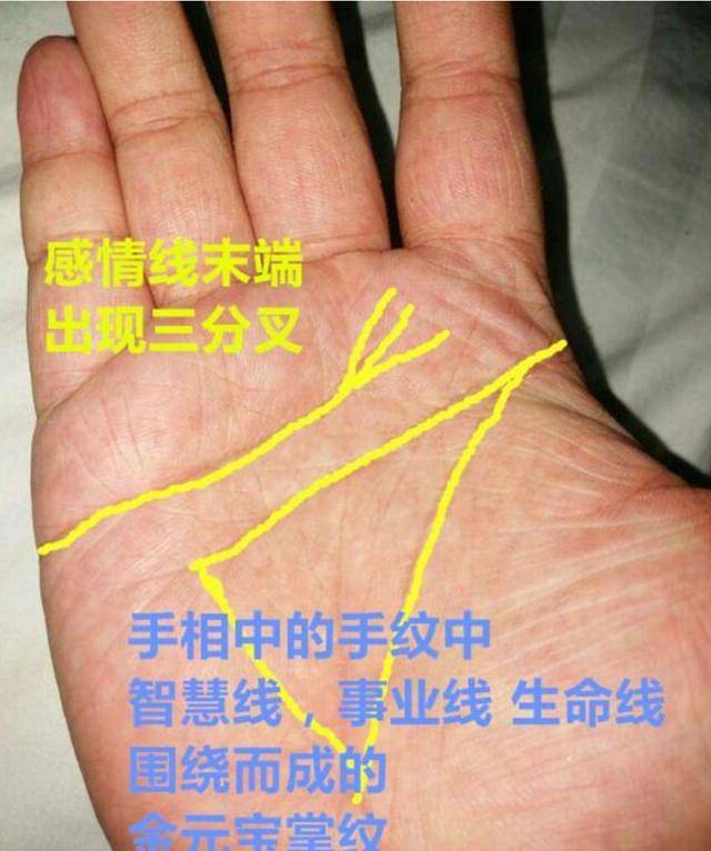 手相金元宝图片大全,手相大全,古代金元宝图片_大山谷图库