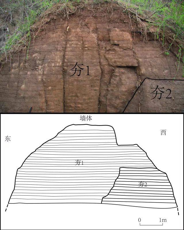 内城南城墙西段夯层情况
