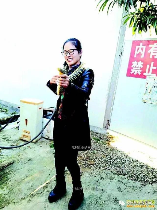 女蛇王李真真的养蛇致富经