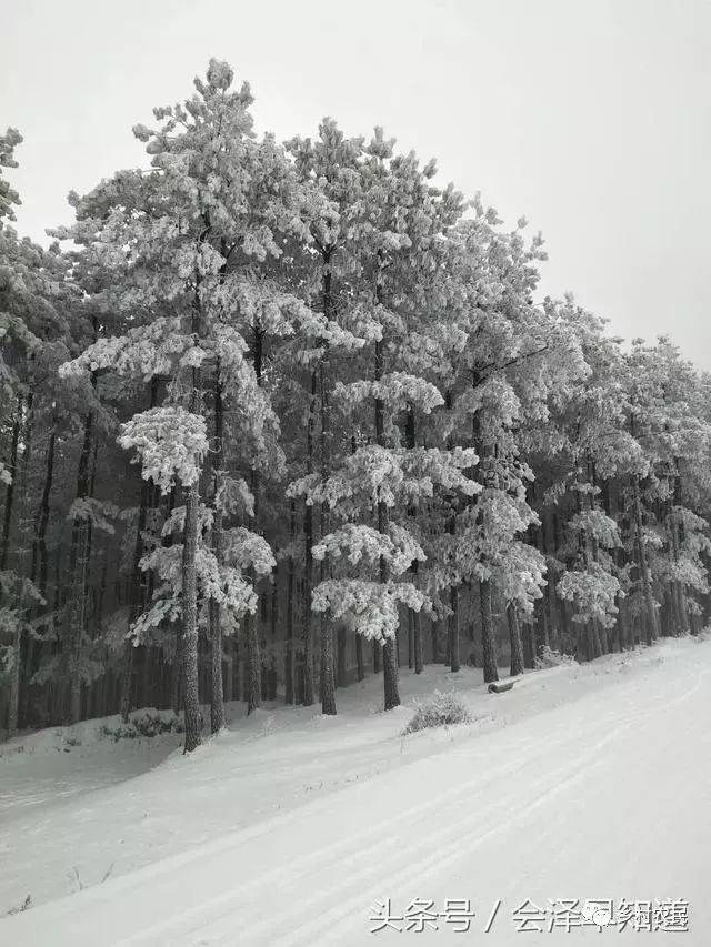 会泽公园雪景图片