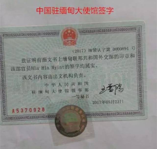 缅甸吧 缅甸的保险