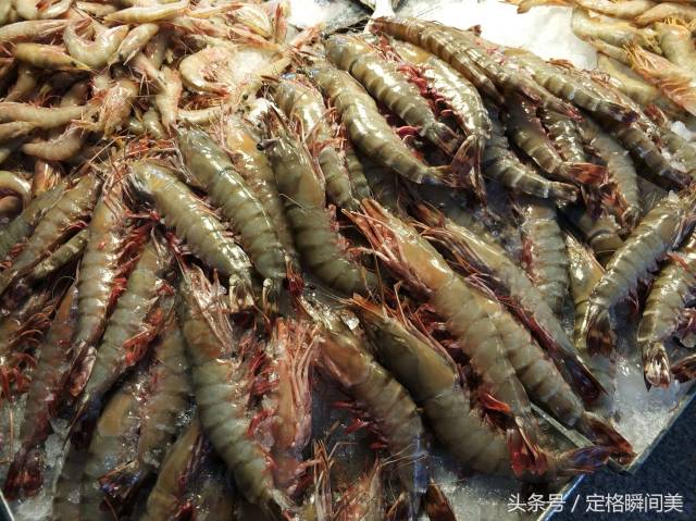 这种比手掌还大的虾,叫竹节虾.现在市场多见冷藏食材.