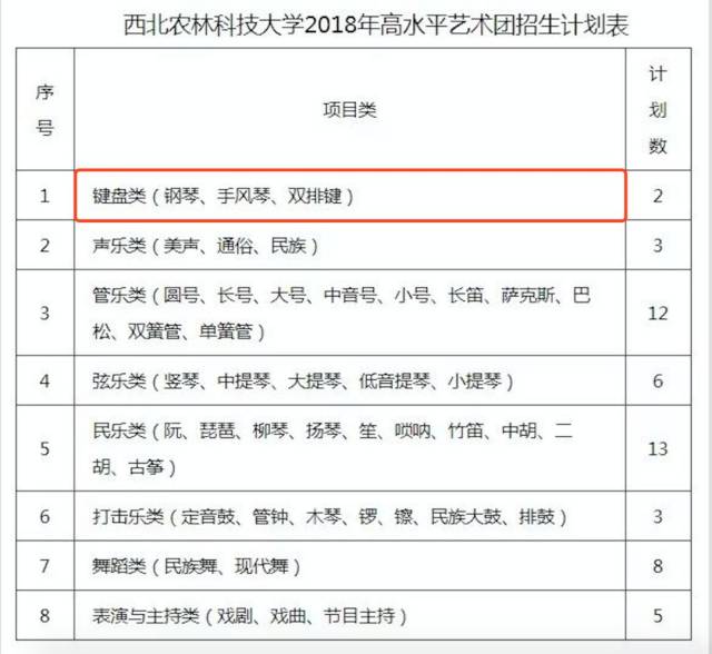 双排键专业可以报考的音乐学院、艺术学院、9