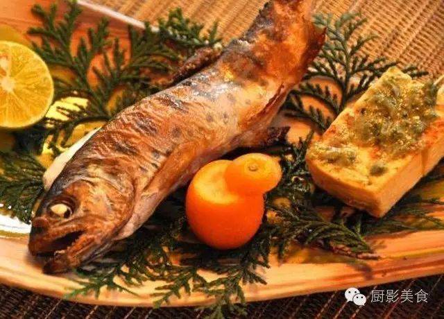 世界顶级淡水鱼类大全_手机搜狐网