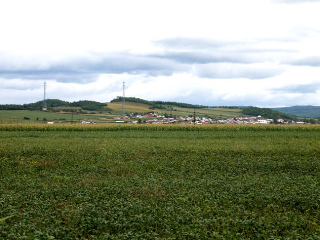 (北大荒人家) 湿地