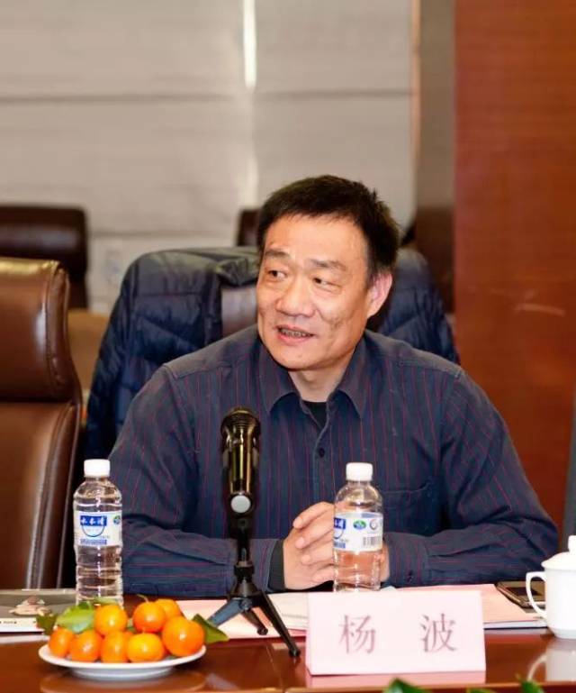 《信息技术与信息化》编委会主任杨波讲话