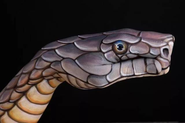 创意无限!人体彩绘艺术家用一双手变成一座动物馆