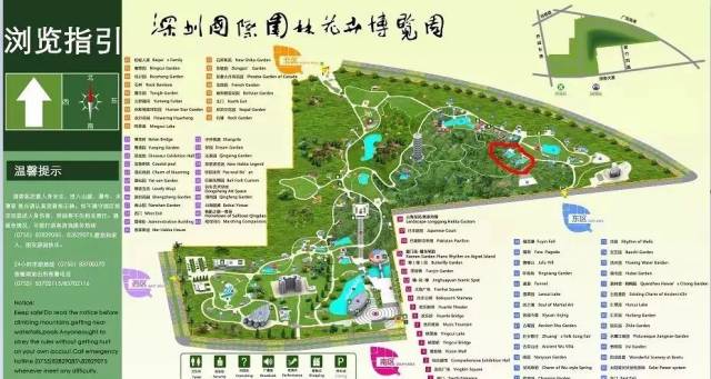 在深圳过年 你可以错过喧嚣的闹市 人来人往的步行街 各种著名的景点