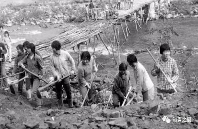 知青在农村劳动的图片,广阔天地知青宣传画_大山谷图库