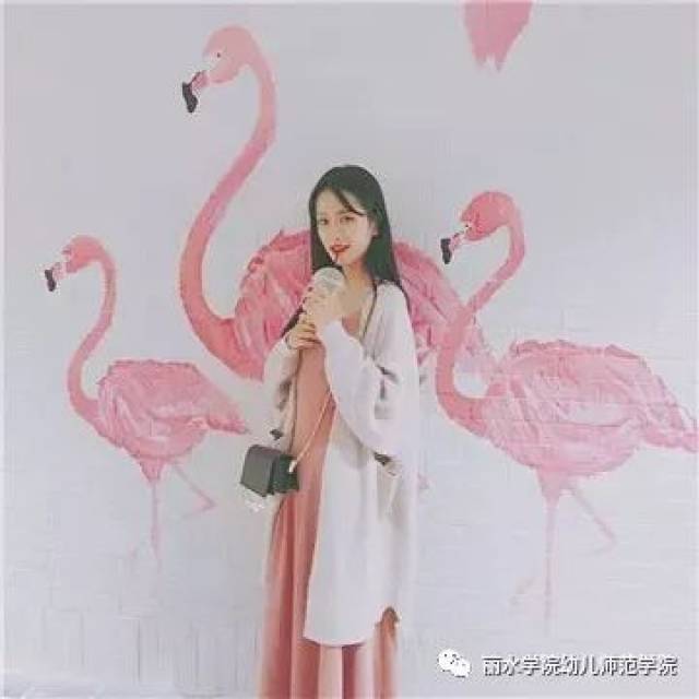 丽水学院幼儿师范学院刘雯悦同学荣获2017年