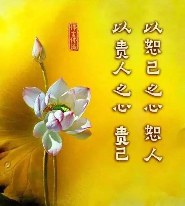 计较的心如同口袋,宽容的心犹如漏斗