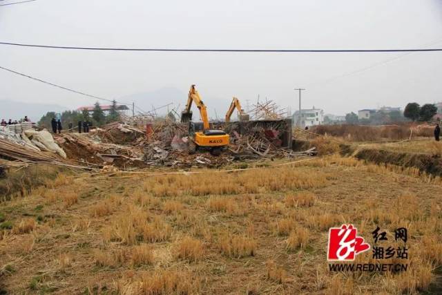 占用耕地建房被拆 