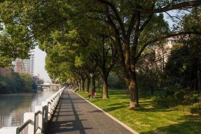 下面就让绿容君带你探寻闵行绿道吧