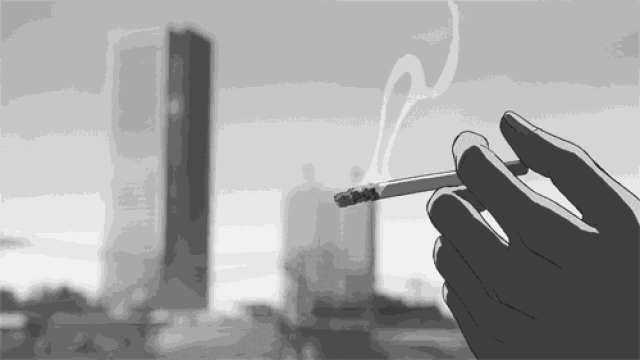 500_281gif 动态图 动图