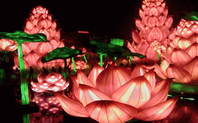 28元宵节牵手!象州"景象万千"元宵大型花灯展祝您一臂之力.
