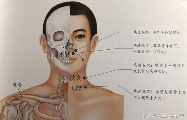 穴位养生|咳嗽,颈部及咽喉诸疾按天鼎穴,利喉清咽 ,理气散结