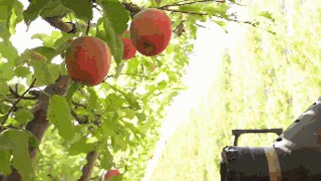 这才是摘苹果自动化,真空吸附技术
