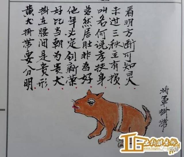 古籍《相犬大全》全本,让你大开眼界!