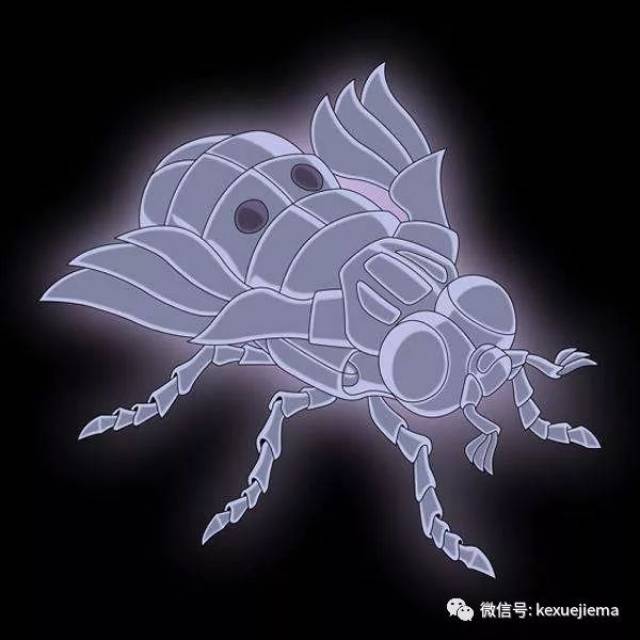 问:美女你是什么星座?答:我是苍蝇座。