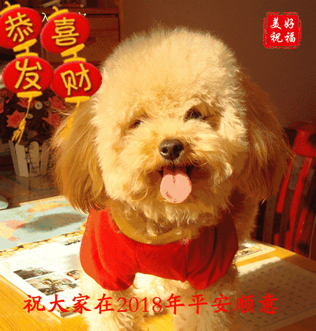 春节将至,最全的春节祝福和拜年动图送给群友,快快收藏