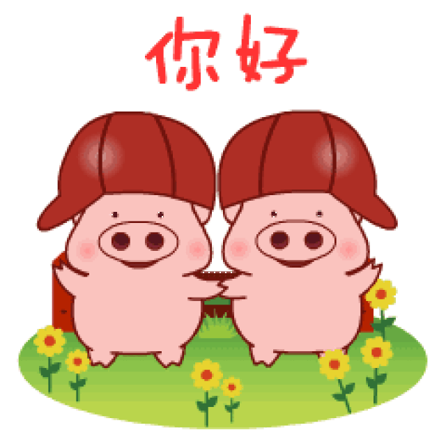 让您聊天,养猪更轻松 双胞胎"猪宝宝"第一波表情包新鲜出炉 我们夜观