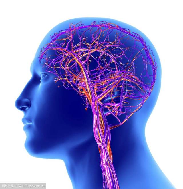 五种方式预防脑血管疾病可很多人却根本做不到