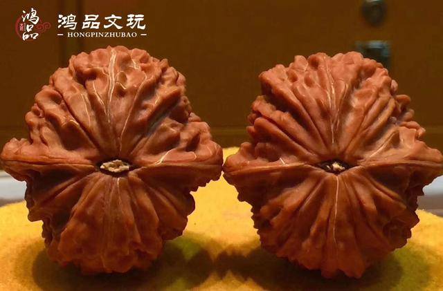 元宝形磨盘文玩核桃，太稀奇 了