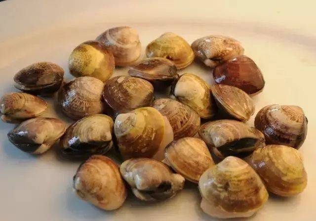 海鲜这样煮最鲜美,延边人转起,一起尝试一下