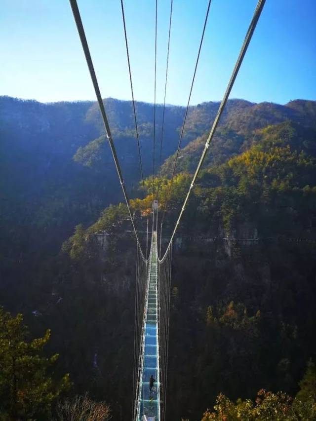 灵江源玻璃栈道图片