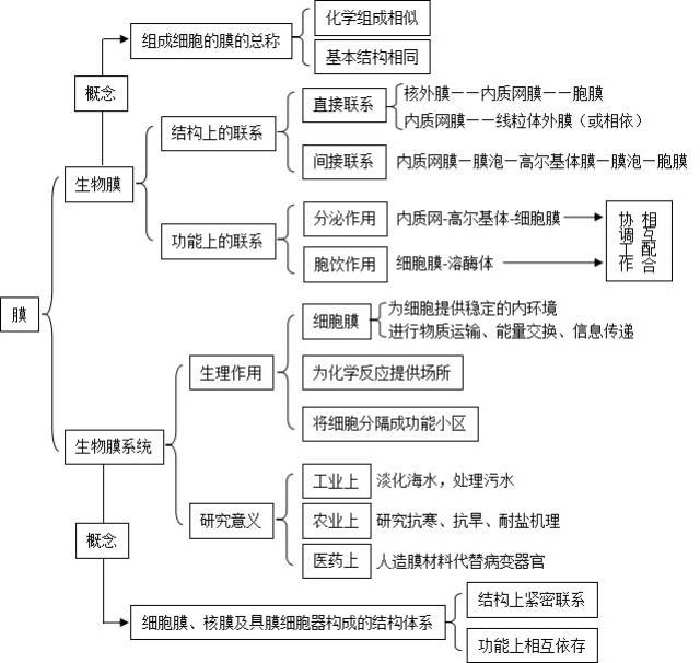 细胞工程知识框架图图片