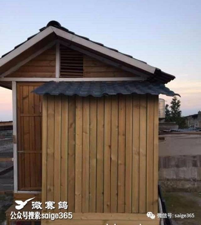 【鸽赏图】鸽友花费6000多自建木制鸽舍,大家看看咋样?