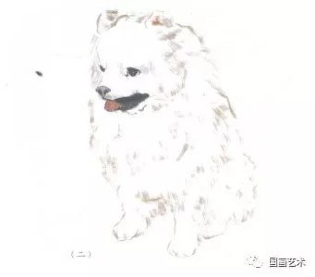 图文教程：四步画出写意博美犬_手机搜狐网