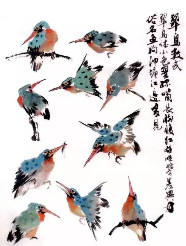 国画技法翠鸟的画法