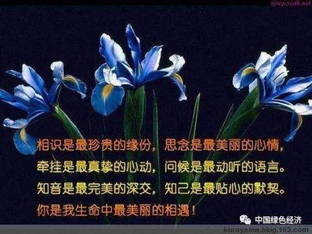 相遇是一種美麗的緣分